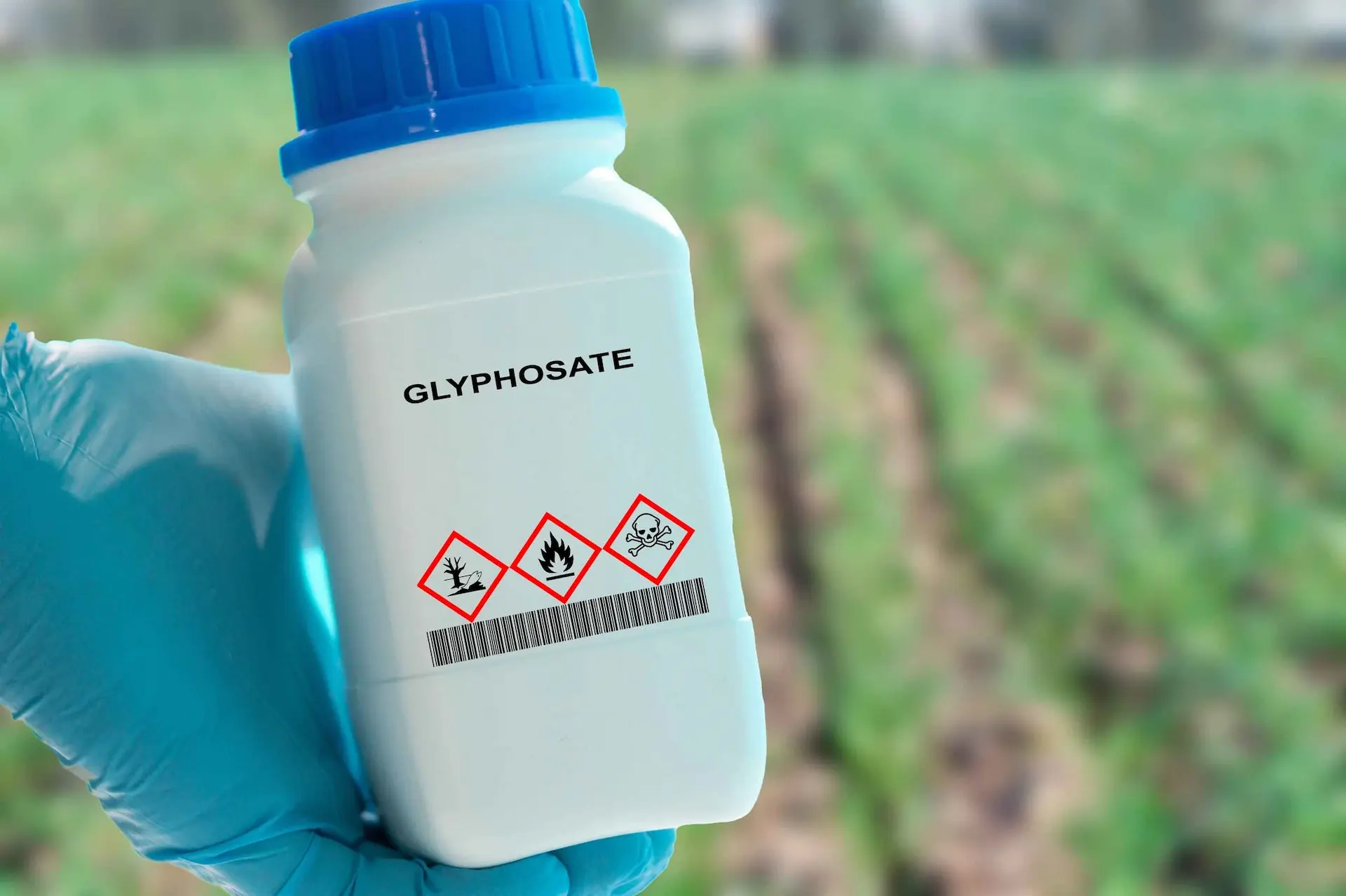 What is Roundup?